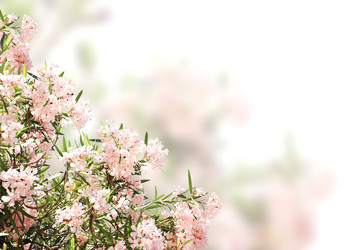 Similar image 5775461