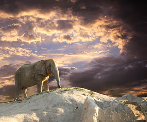 Similar image 5775473