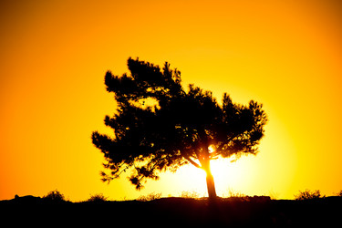 Similar image 5775512