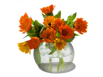 Similar image 5775700