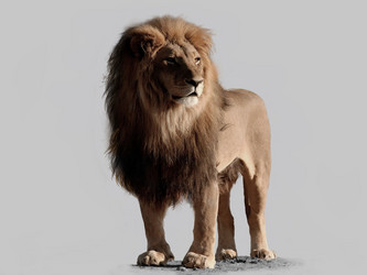 Similar image 5775706