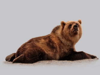 Similar image 5775766