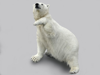 Similar image 5775767