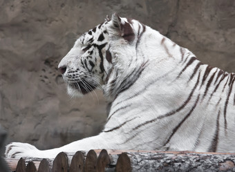 Similar image 5775852