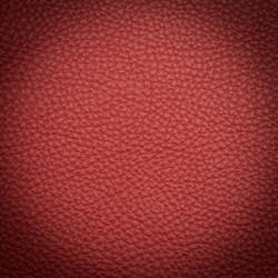 Similar image 5775897