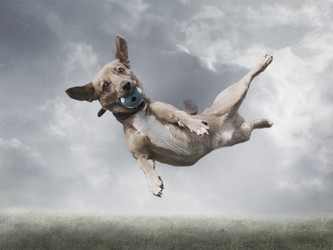 Similar image 5775906