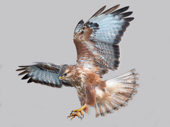 Similar image 5775907