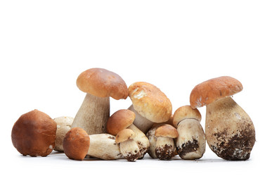 Similar image 5775909