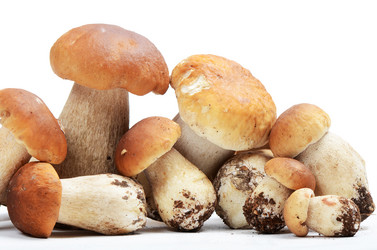 Similar image 5775920