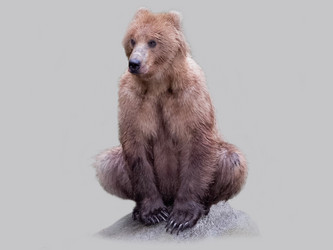 Similar image 5775947