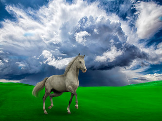 Similar image 5775948