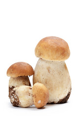 Similar image 5775996