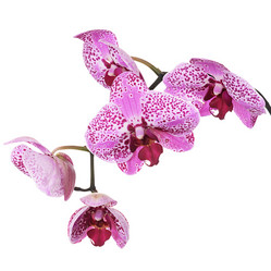 Similar image 5775997