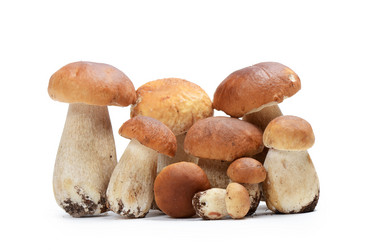 Similar image 5776002