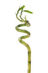 Similar image 5776003