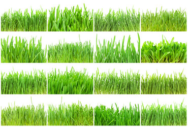 Similar image 5776016