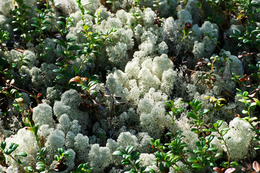 Similar image 5776070