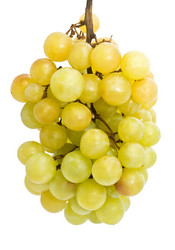 Similar image 5776071