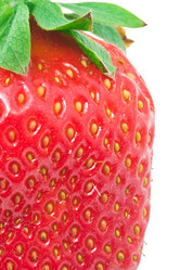 Similar image 5776077