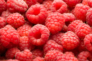 Similar image 5776079