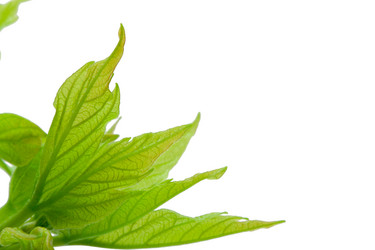 Similar image 5776104