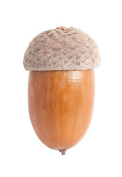 Similar image 5776136