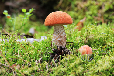 Similar image 5776466