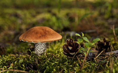 Similar image 5776467