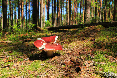 Similar image 5776468