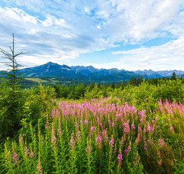 Similar image 5777564