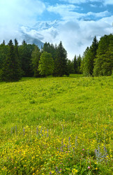 Similar image 5777604