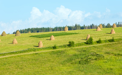 Similar image 5777612