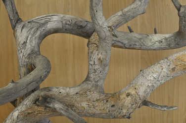 Similar image 5794216