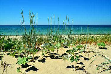 Similar image 5794349