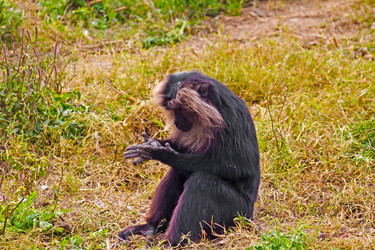 Similar image 5796479