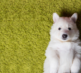 Similar image 5797232