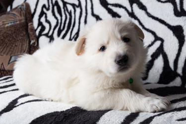 Similar image 5797233