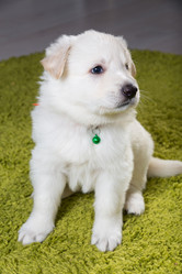 Similar image 5797234