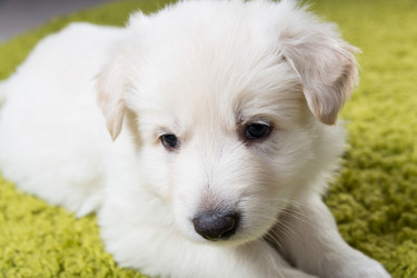 Similar image 5797235