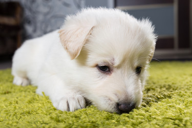 Similar image 5797236