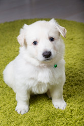 Similar image 5797238