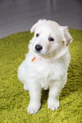 Similar image 5797239