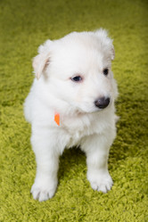 Similar image 5797240