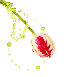 Similar image 5798035