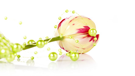 Similar image 5798041