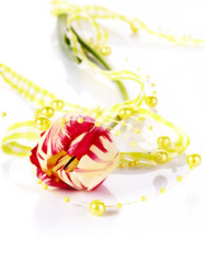 Similar image 5798042