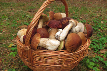 Similar image 5802688