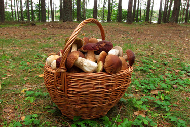 Similar image 5802689