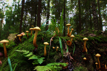 Similar image 5802691