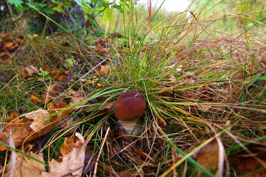 Similar image 5802692